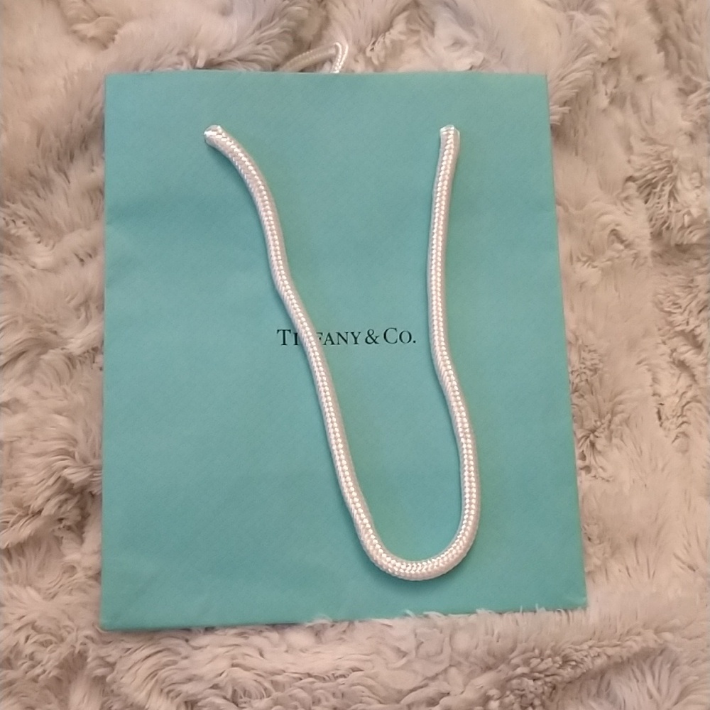 Tiffany & Co. Small Shopping Bag